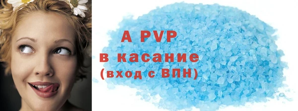стаф Аркадак