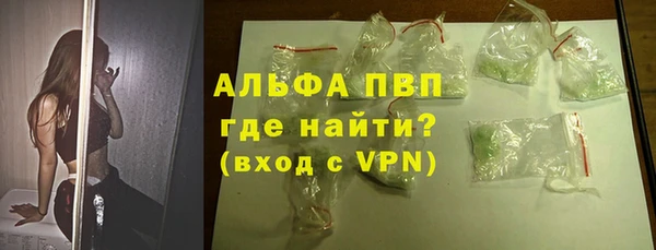 стаф Аркадак
