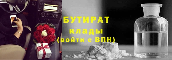 стаф Аркадак