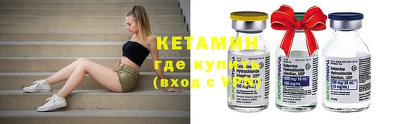 стаф Аркадак
