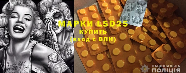 стаф Аркадак