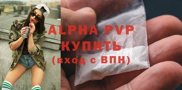 стаф Аркадак